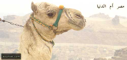 مصر أم الدنيا: رحلة سفر