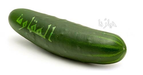 خيارنا المقاومة، ولكن.